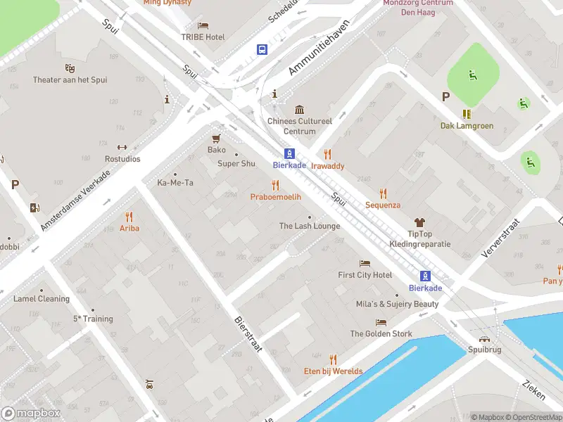 Overlastmelding Spui in 's-Gravenhage