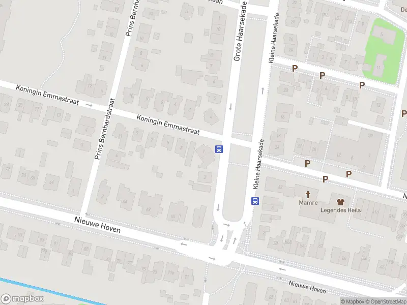 Overlastmelding Koningin Emmastraat in Gorinchem
