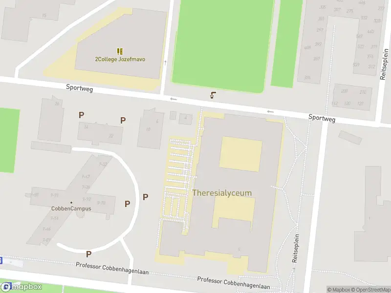 Overlastmelding Professor Cobbenhagenlaan in 5037DA Tilburg