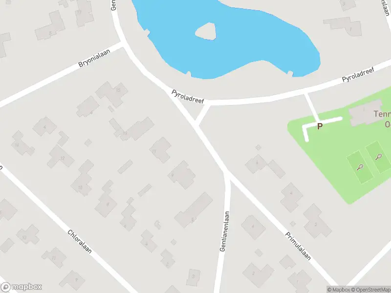 Ambulance met gepaste spoed naar de Gentianenlaan in Oostvoorne