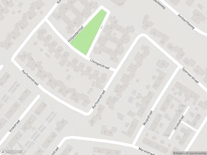 Brandweer met grote spoed naar de IJsvogelstraat in Goor vanwege afhijsen patient