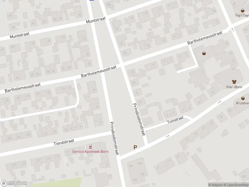 Overlastmelding Prinsbisdomstraat in Born