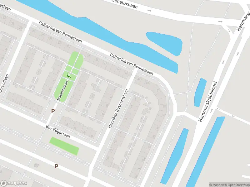 Ambulance met grote spoed naar de Henriëtte Bosmanslaan in Amstelveen