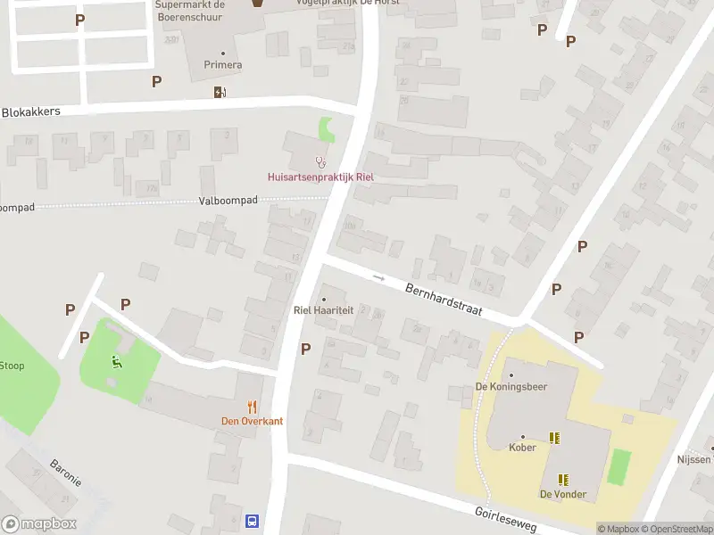 Overlastmelding Dorpstraat in Riel