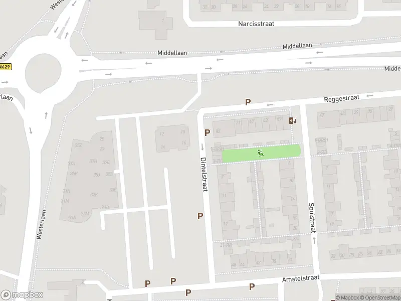 Overlastmelding Dintelstraat in Dongen