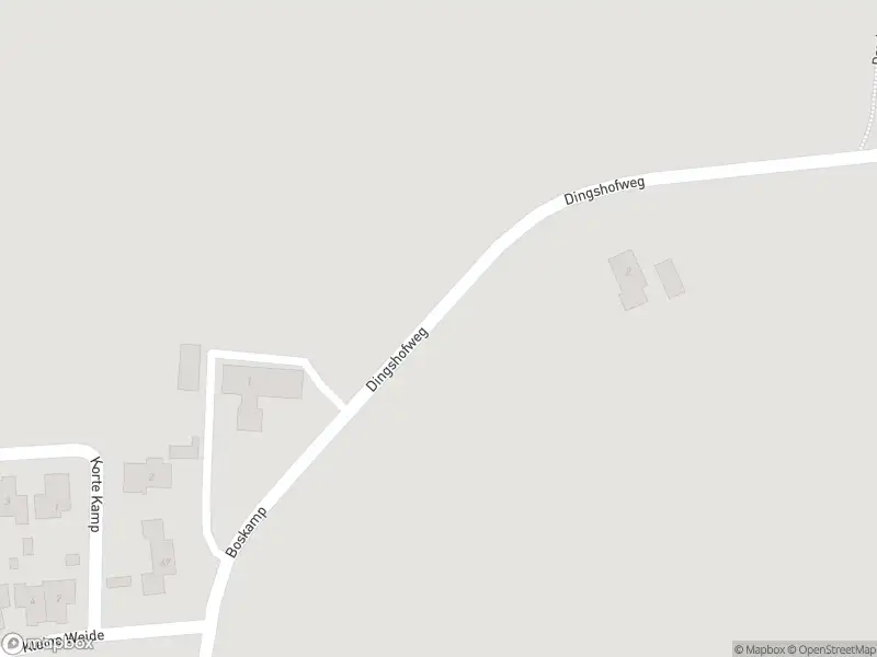 Politie naar de Dingshofweg in Olst vanwege aanrijding met letsel