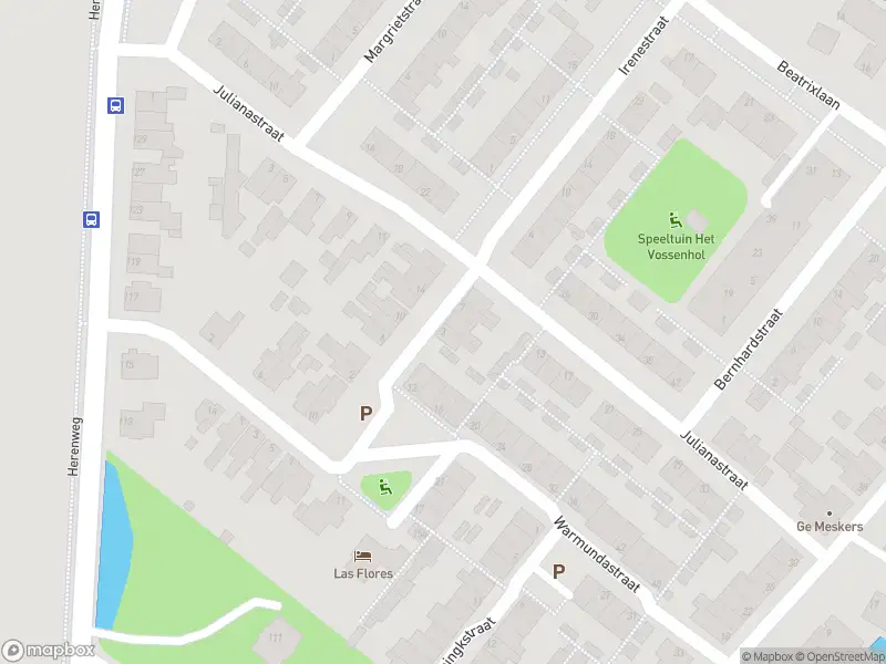 Anonieme overlastmelding Dr. Ammanstraat in Warmond