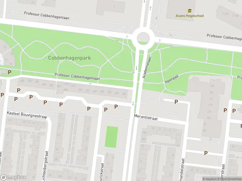 Overlastmelding Prof. Cobbenhagenlaan in Tilburg