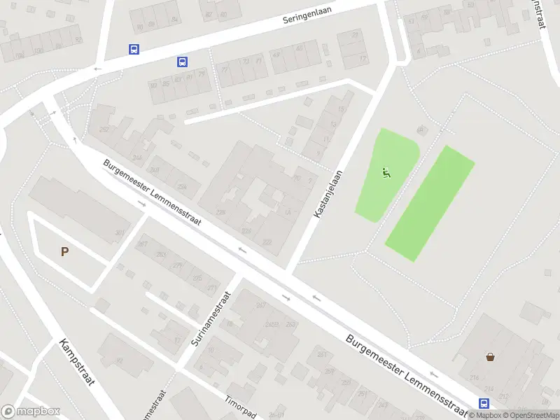 Overlastmelding Kastanjelaan in Geleen