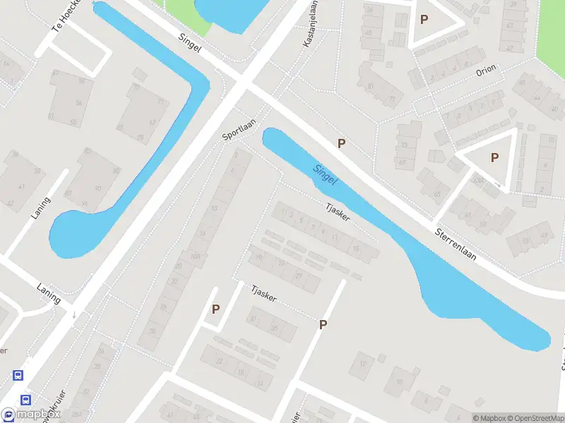 Overlastmelding Tjasker in Puttershoek