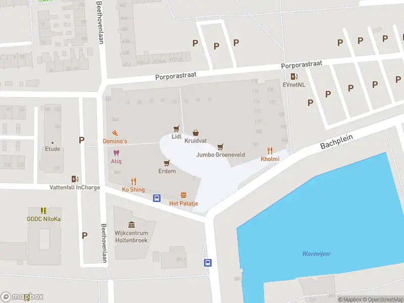 Brandweer met gepaste spoed naar de Bachplein in Zwolle