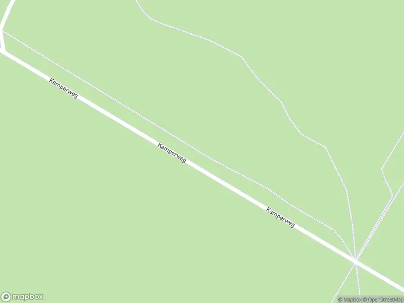 Traumahelikopter naar de Koekenbergweg in Epe