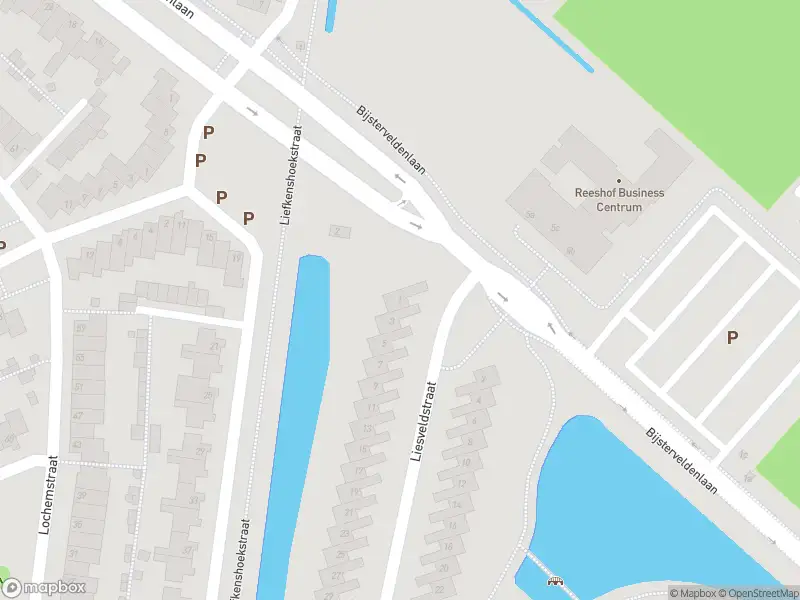Overlastmelding Liesveldstraat in Tilburg