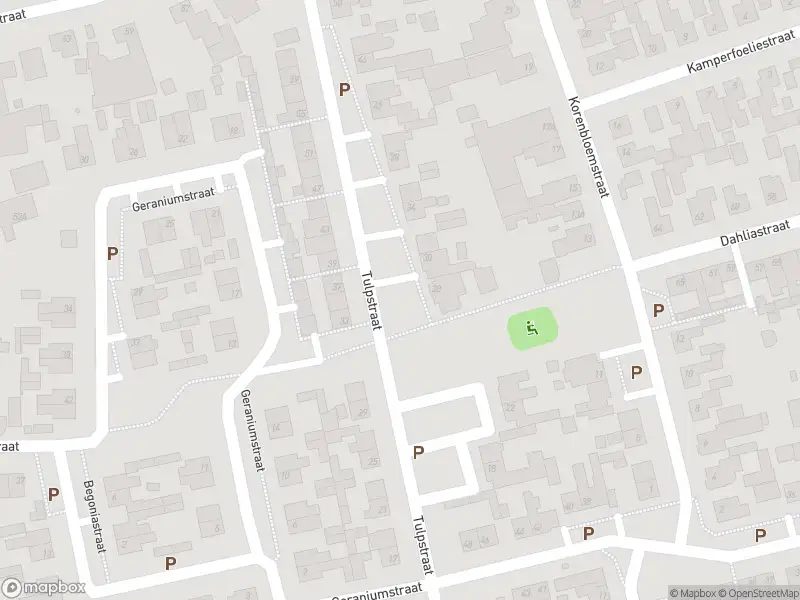 Overlastmelding Tulpstraat in Sint Willebrord