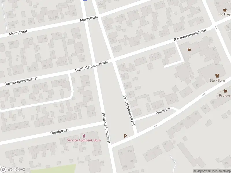 Overlastmelding Prinsbisdomstraat in Born