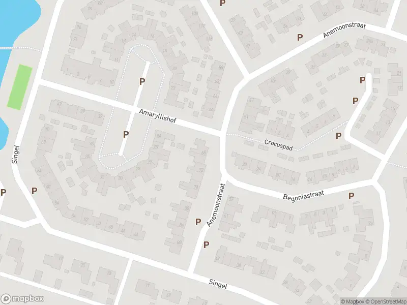 Overlastmelding Anemoonstraat in Nieuwendijk