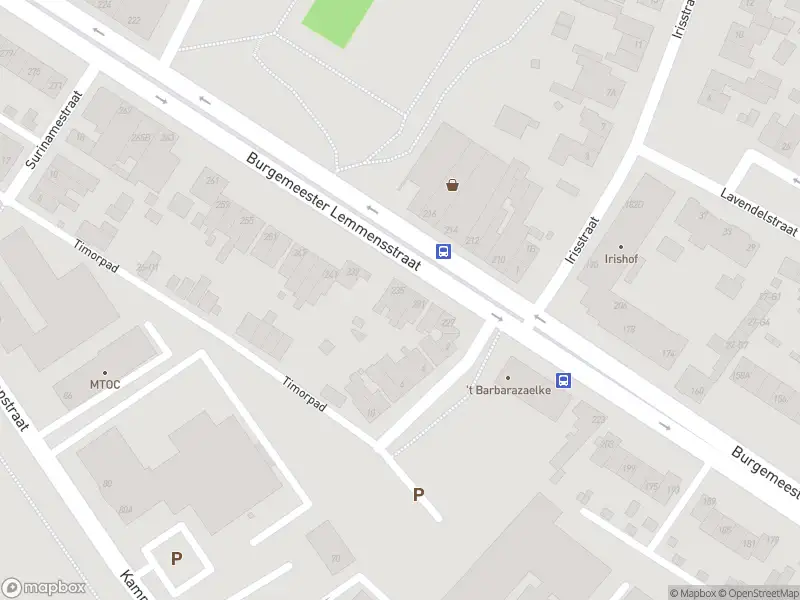 Overlastmelding Burgemeester Lemmensstraat in Geleen