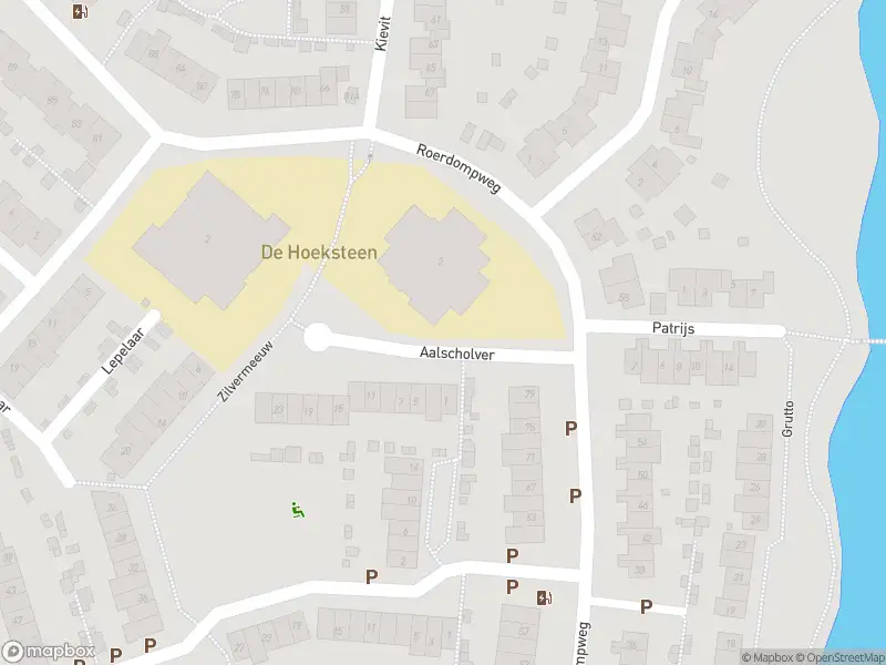 Overlastmelding Aalscholver in Oud-Beijerland gesloten