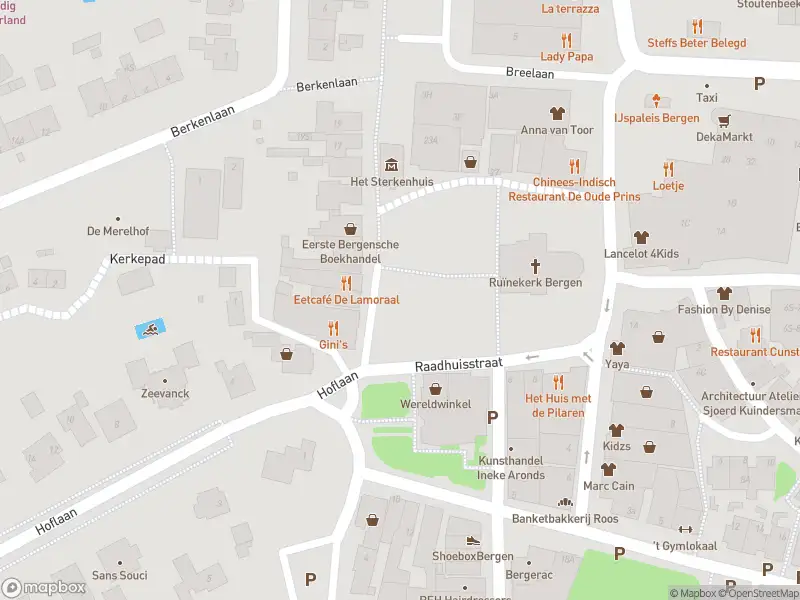 Ambulance met grote spoed naar de Oude Prinsweg in Bergen