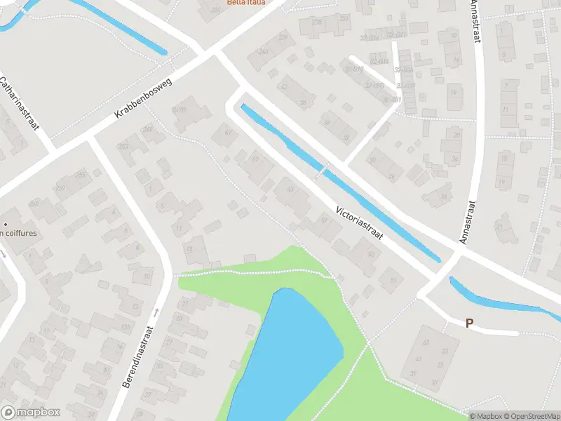 Brandweer met gepaste spoed naar de Theresiastraat in Hengelo vanwege waarnemen gaslucht