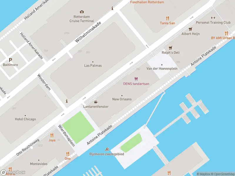Ambulance met gepaste spoed naar de Antoine Platekade in Rotterdam
