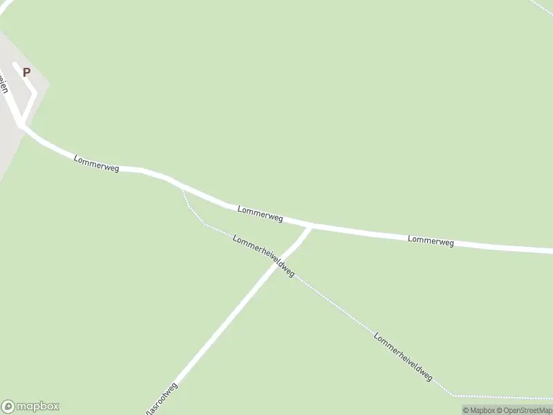 Brandweer met gepaste spoed naar de Hanikerweg in Lomm vanwege stormschade