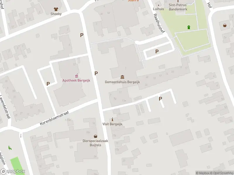Traumahelikopter naar de Burgemeester Magneestraat in Bergeijk