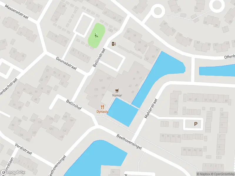 Overlastmelding Bellinihof in Alkmaar