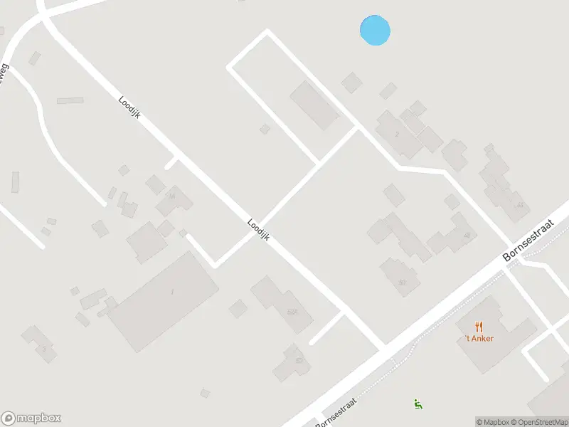 Brandweer met gepaste spoed naar de Loodijk in Saasveld