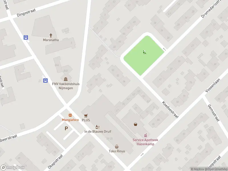 Brandweer met gepaste spoed naar de Buffelstraat in Nijmegen vanwege stormschade