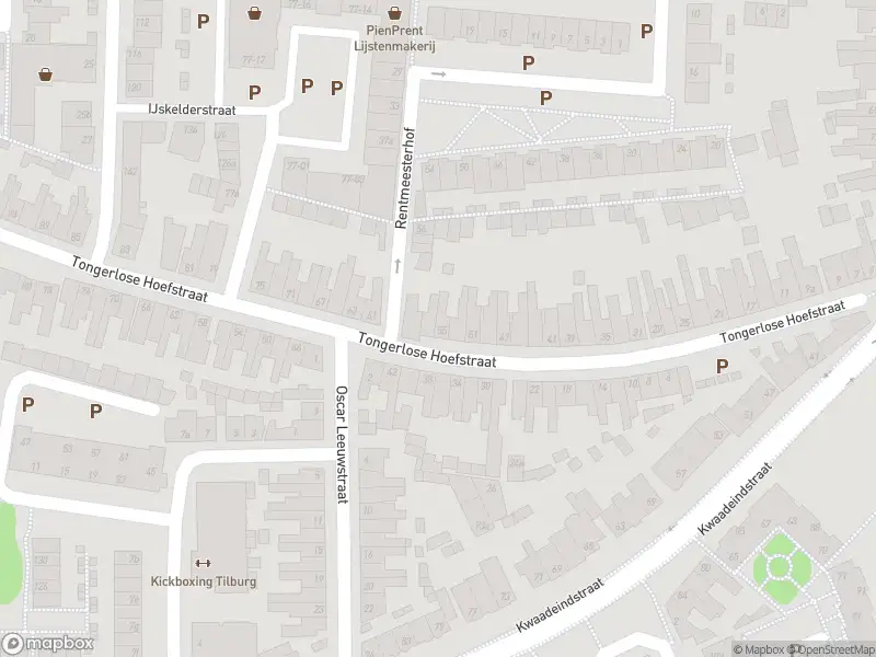 Overlastmelding Tongerlose Hoefstraat in Tilburg