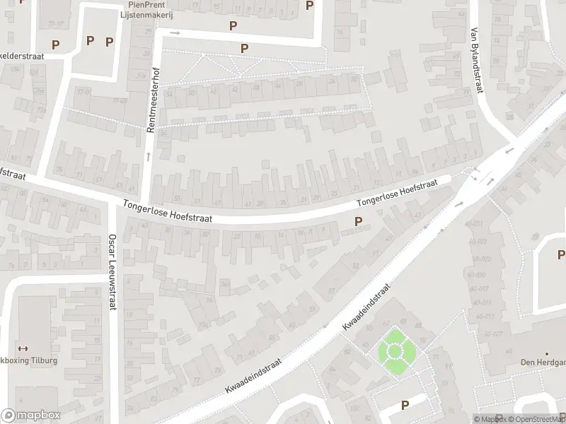 Overlastmelding Tongerlose Hoefstraat in Tilburg