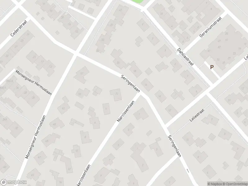 Overlastmelding Seringenlaan in Sint-Michielsgestel