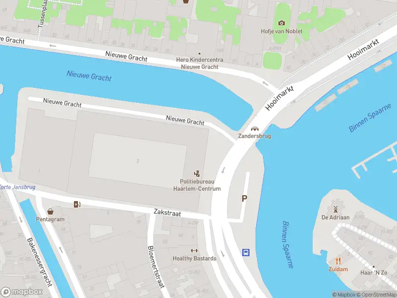 Ambulance en brandweer met grote spoed naar de Spaarndamseweg in Haarlem vanwege personen te water