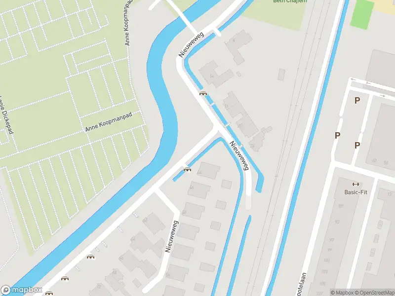 Overlastmelding Nieuweweg in 3314JS Dordrecht