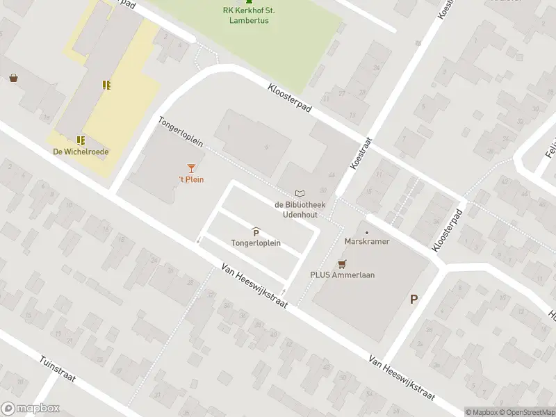 Overlastmelding Tongerloplein in Udenhout