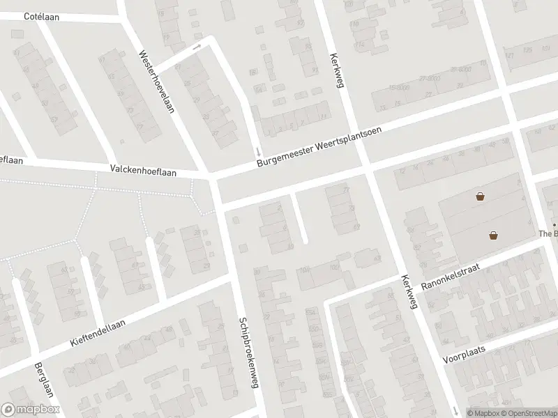 Anonieme overlastmelding Burgemeester Weertsplantsoen in Santpoort-Noord