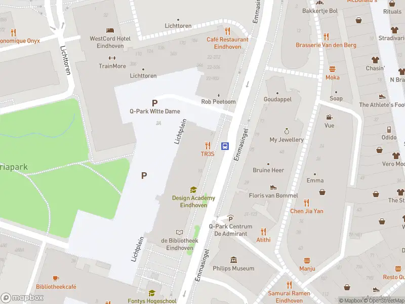 Brandweer en politie met grote spoed naar de Emmasingel in Eindhoven vanwege middelgrote brand