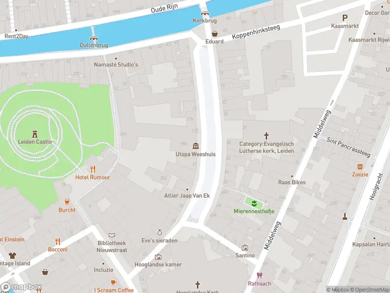Politie met grote spoed naar de Nieuwe Beestenmarkt in Leiden vanwege ongeval met letsel