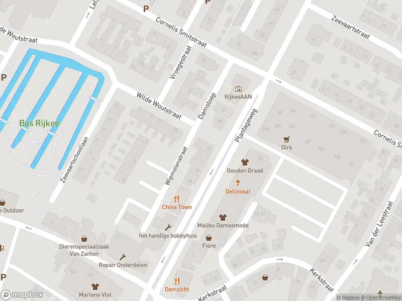Brandweer met gepaste spoed naar de Dam in Alblasserdam
