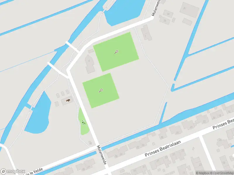 Brandweer met gepaste spoed naar de Molenweide in Maasland vanwege dier(en) in nood