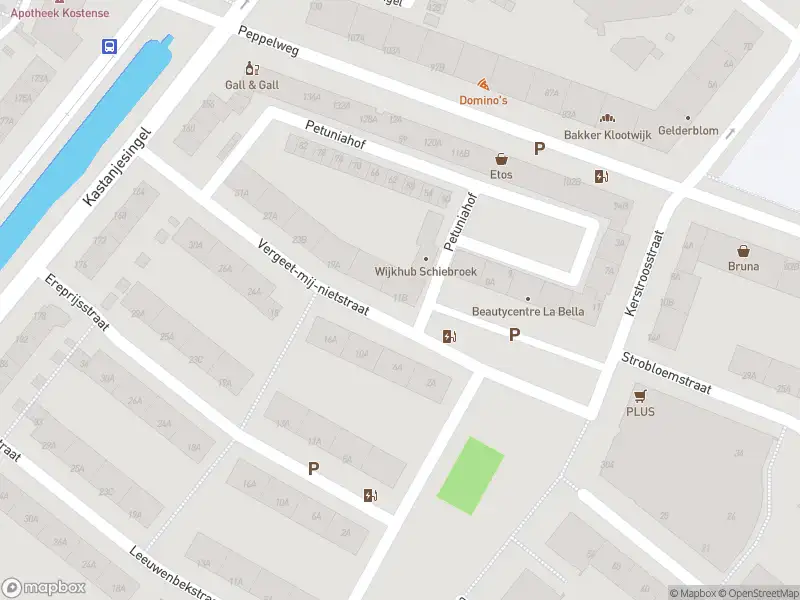 Ambulance met gepaste spoed naar de Vergeet-mij-nietstraat in Rotterdam