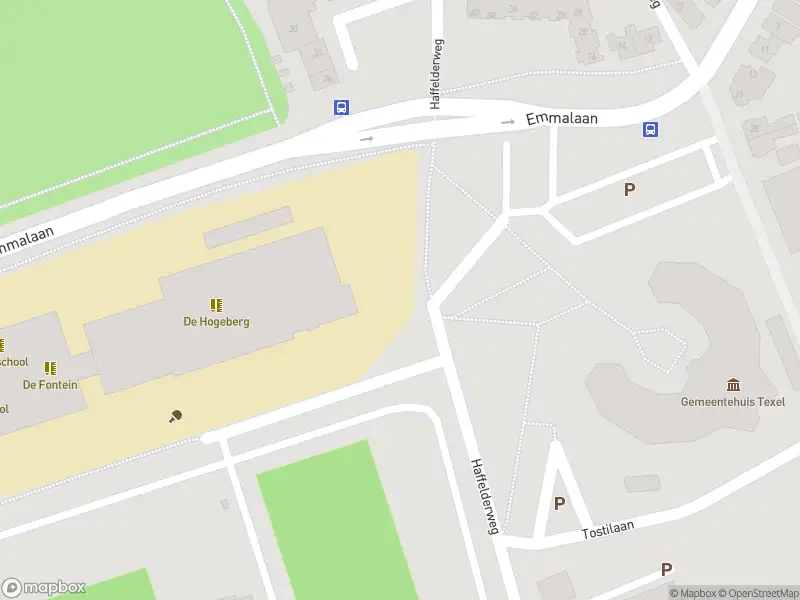 Ambulance met gepaste spoed naar de Haffelderweg in Den Burg