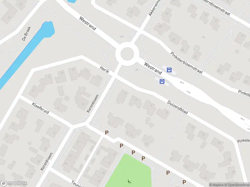Brandweer met gepaste spoed naar de Duizendblad in Zevenbergen