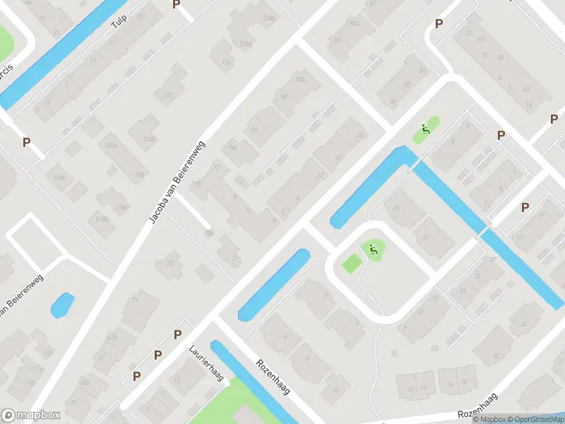 Overlastmelding Taxushaag in Voorhout