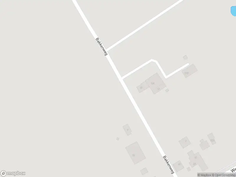 Ambulance met grote spoed naar de Bakkenweg in Den Hoorn