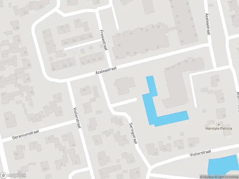 Overlastmelding Seringstraat in Wijk en Aalburg