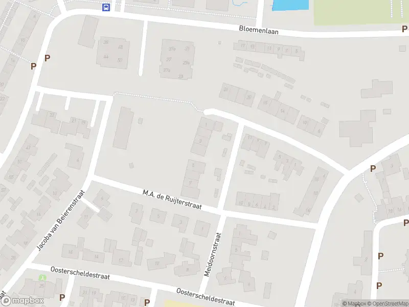 Overlastmelding Cornelis Vermuydenstraat in Sint-Maartensdijk