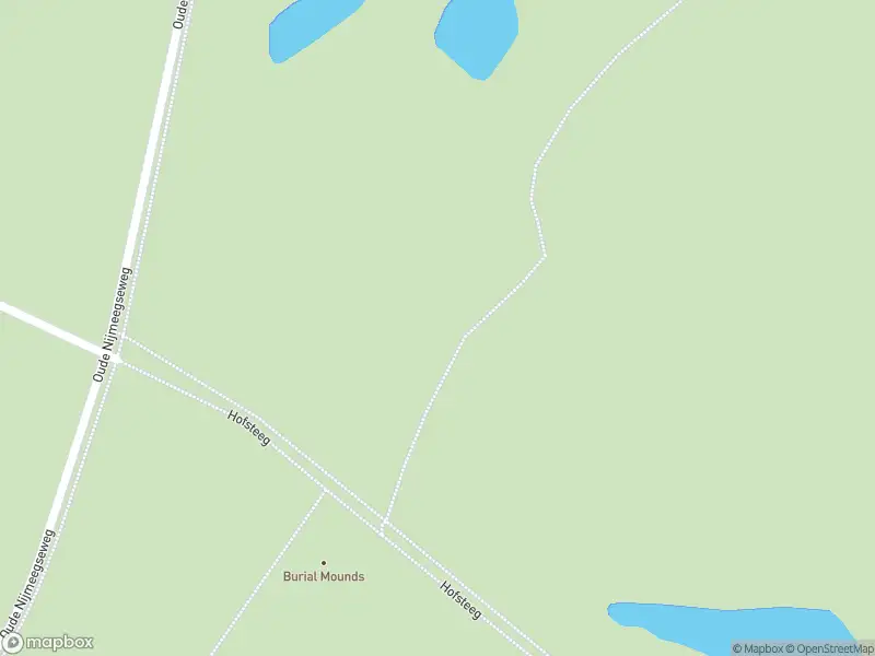 Brandweer met gepaste spoed naar de Sint Walrickweg in Overasselt