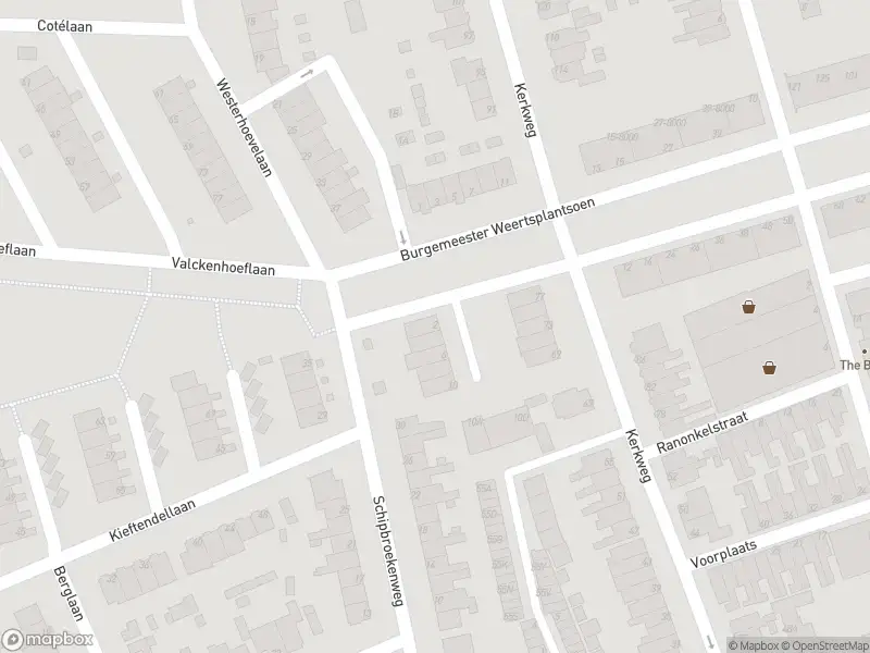 Anonieme overlastmelding Burgemeester Weertsplantsoen in Santpoort-Noord gesloten
